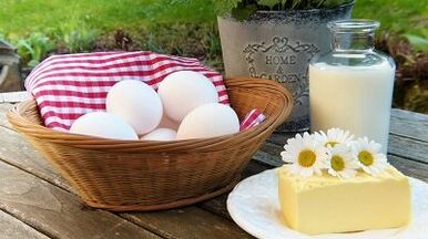 Rules for sitting a protein diet